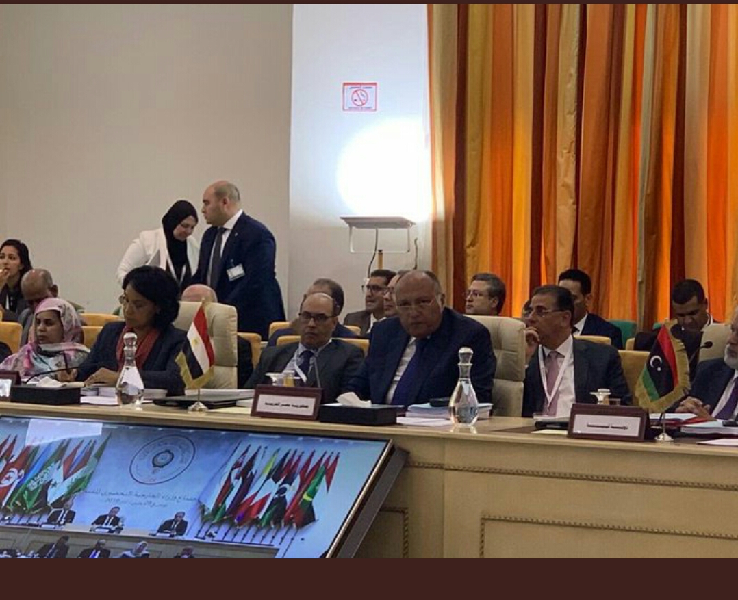 الوزير شكري خلال اجتماعات وزراء الخارجية بتونس