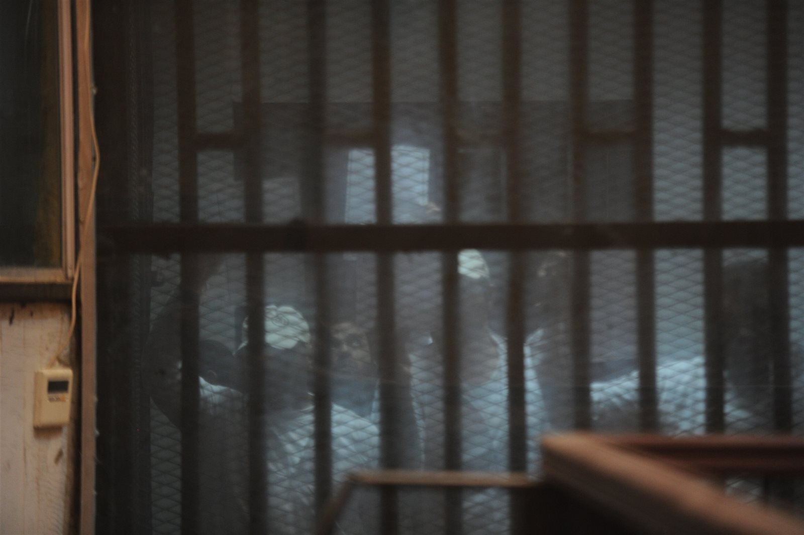 المتهمين داخل الحجز