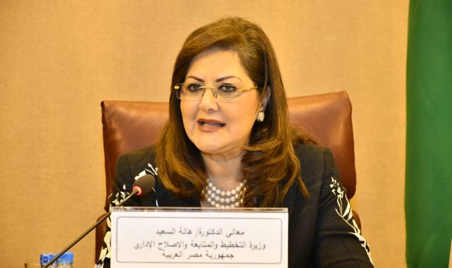 وزيرة التخطيط 