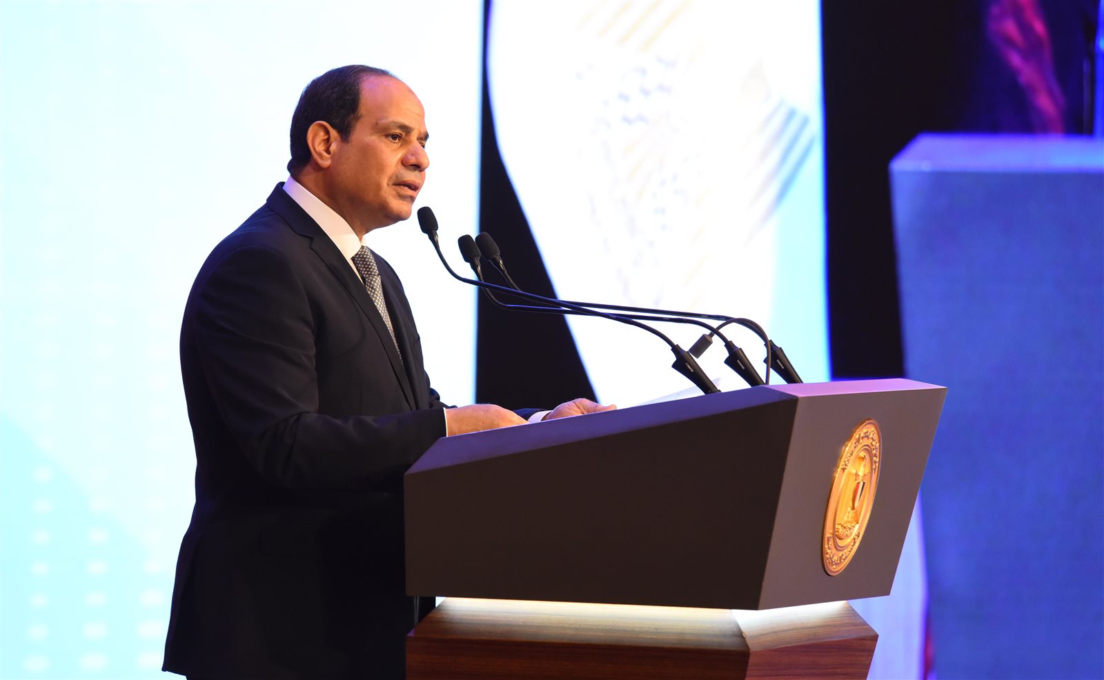 الرئيس عبدالفتاح السيسي الرئيس عبدالفتاح السيسي
