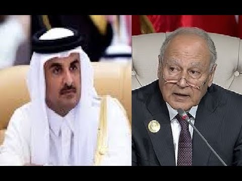 تميم وأبوالغيط