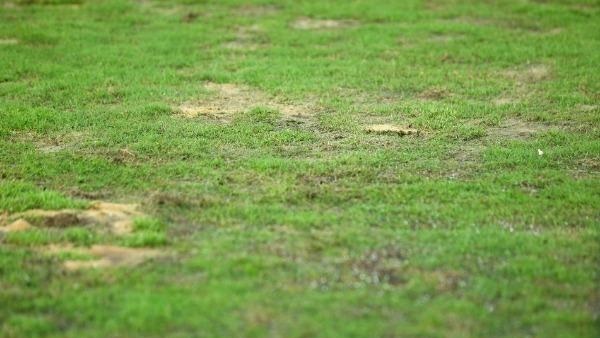 ارضية ملعب برج العرب