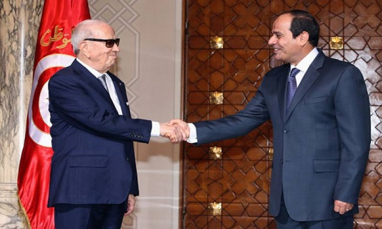 الرئيس السيسي والرئيس التونسى 