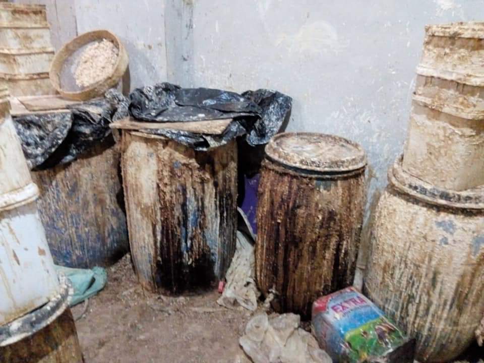 ضبط مصنع جبن قديم داخله كميات كبيرة غير صالحة للاستهلاك 