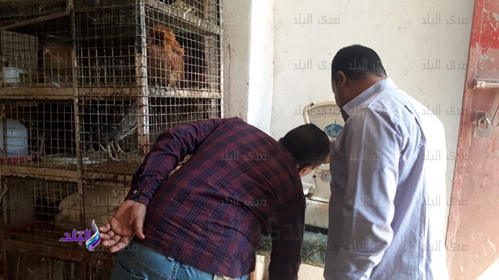 حملة تموينية مكبرة بالاقصر