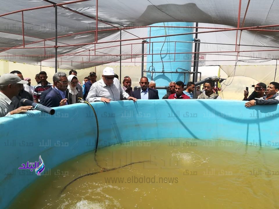 اللواء محمد الزملوط محافظ الوادي الجديد اللواء محمد الزملوط محافظ الوادي الجديد