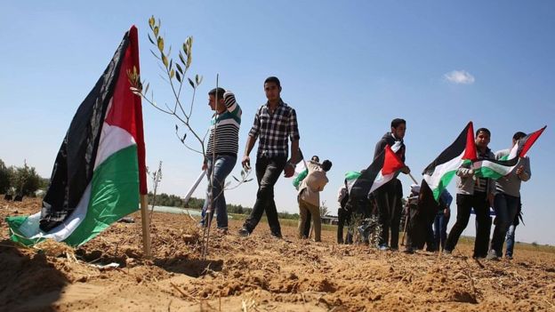 يوم الارض فلسطين يوم الارض فلسطين