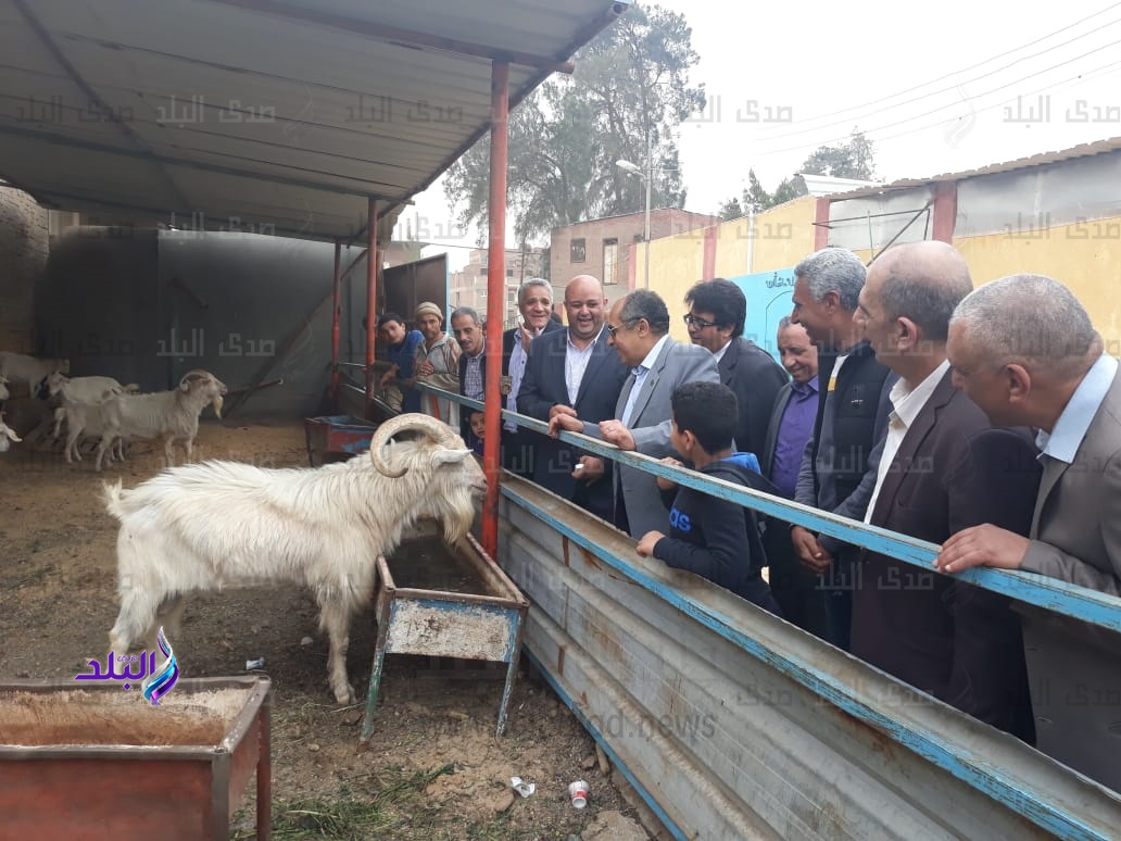 وزير الزراعة يتفقد