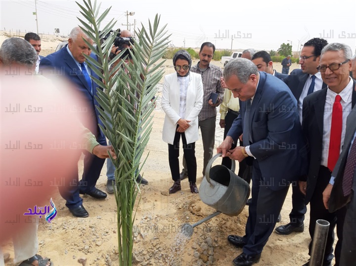 وزير التموين يزرع نخلة بمطار الوادى الجديد وزير التموين يزرع نخلة بمطار الوادى الجديد