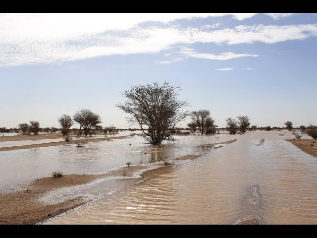 إعصار "إيداي"