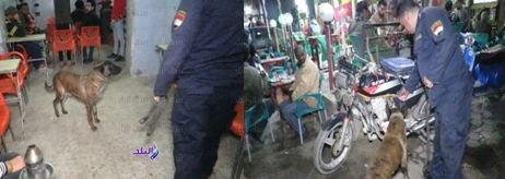 حملات مكافحة المخدرات حملات مكافحة المخدرات