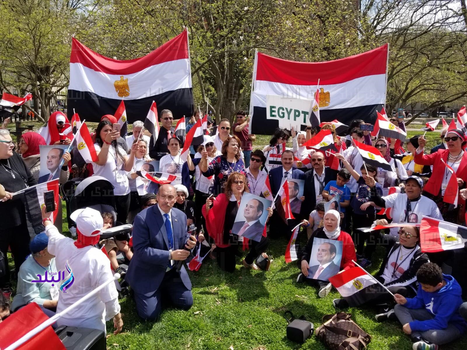 الجالية المصرية بالولايات المتحدة الأمريكية