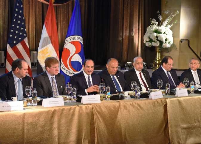 الرئيس عبد الفتاح السيسى