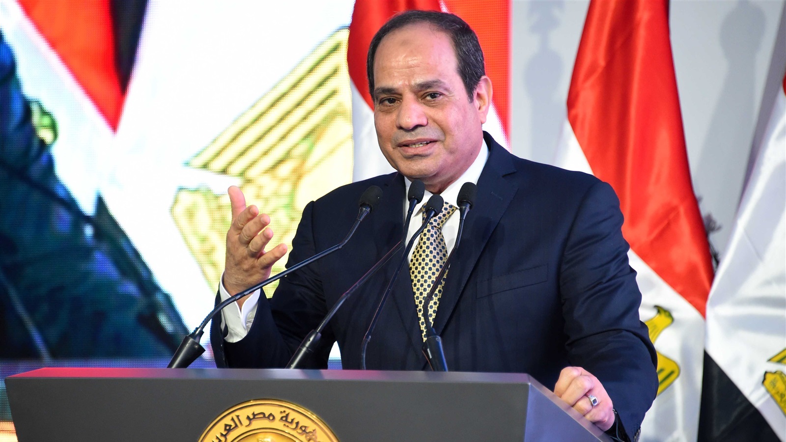 الرئيس عبد الفتاح السيسى 