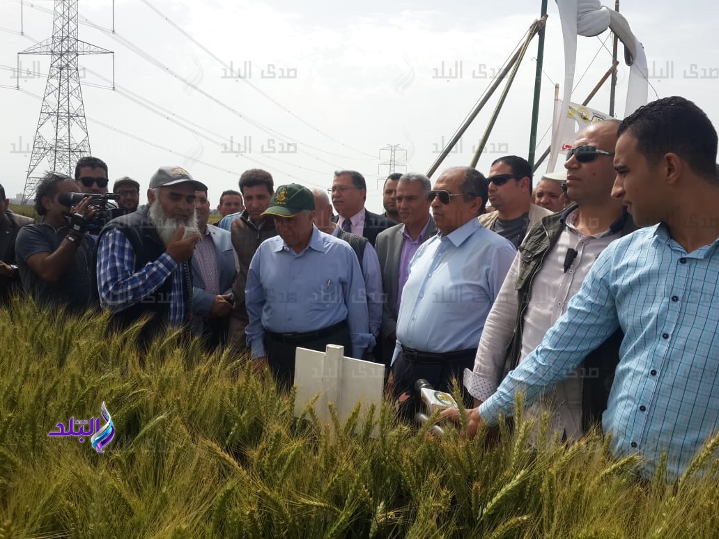 وزير الزراعة يتفقد محصول القمح وزير الزراعة يتفقد محصول القمح
