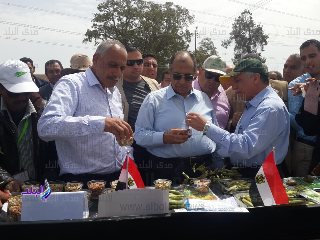 وزير الزراعة خلال الجولة