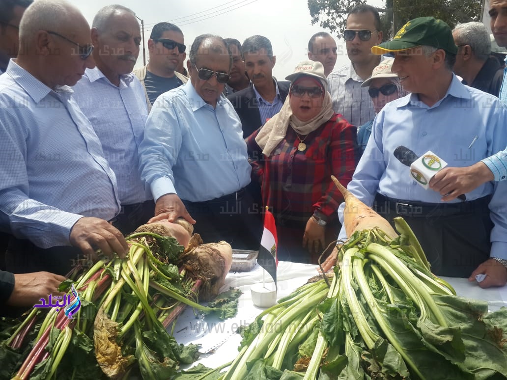 وزير الزراعة خلال الجولة