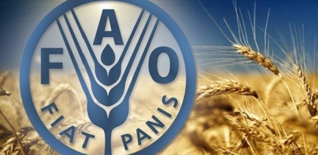 منظمة الفاو