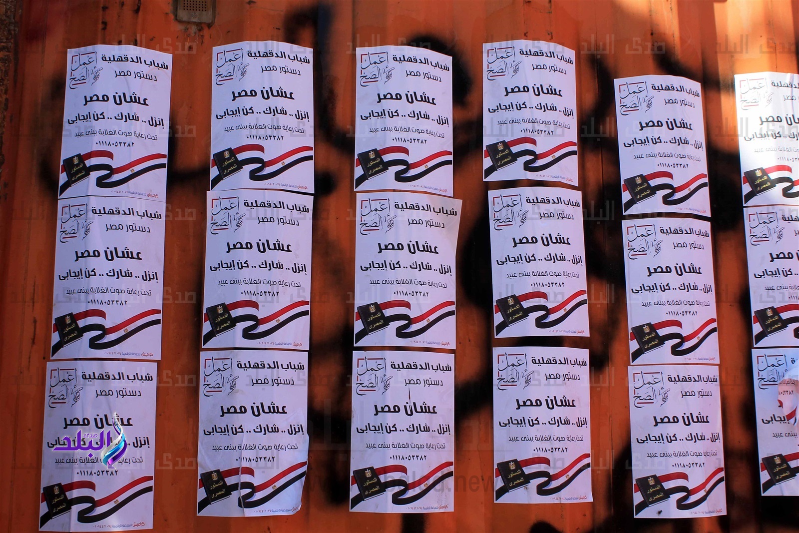 دعوات للمشاركة في الاستفتاء على التعديلات الدستورية