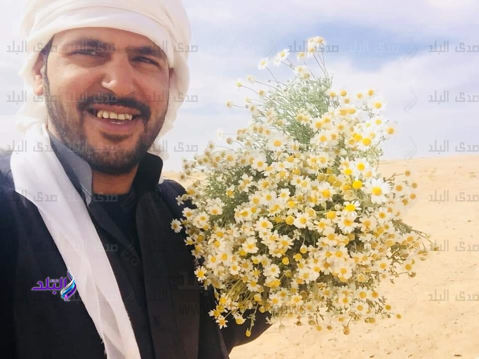 زهور الربيع فى صحراء جنوب سيناء وازدهار النباتات الطبية
