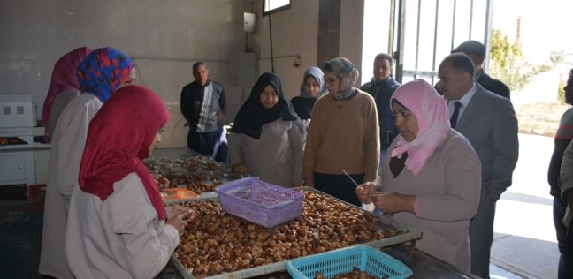 مجمع التمور بالوادي الجديد