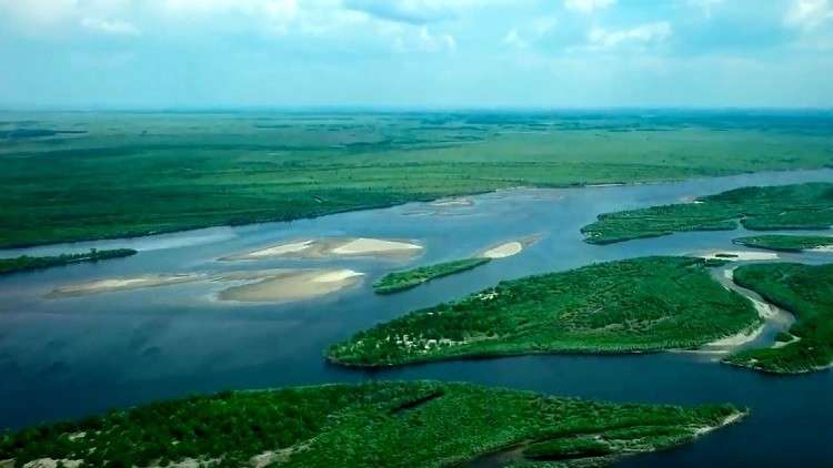 نهر الكونغو