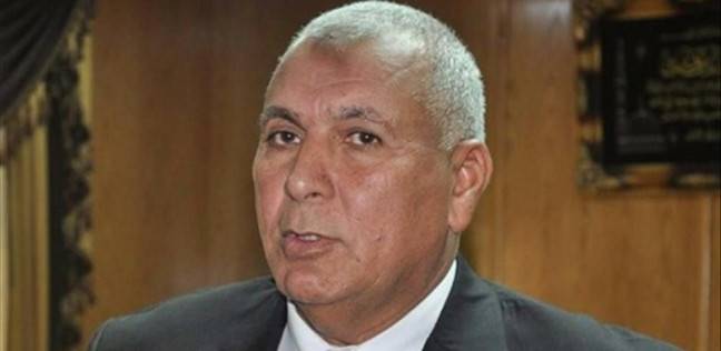 محافظ الوادي الجديد، اللواء محمد الزملوط