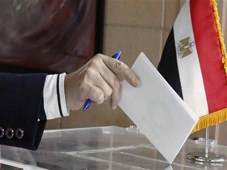 المصريون بالخارج يدلون بأصواتهم
