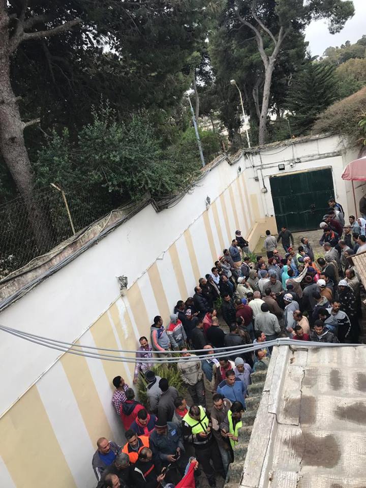 جانب من مشاركة المصريين في الإستفتاء بالجزائر