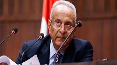 المستشار بهاء أبو شقة