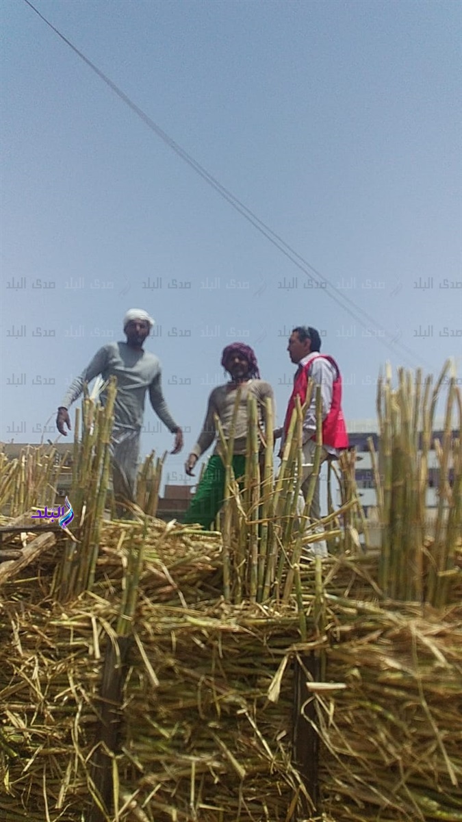 "هنوصلك..هنوصلك"شعار مبادرة ١٠٠ مليون صحه