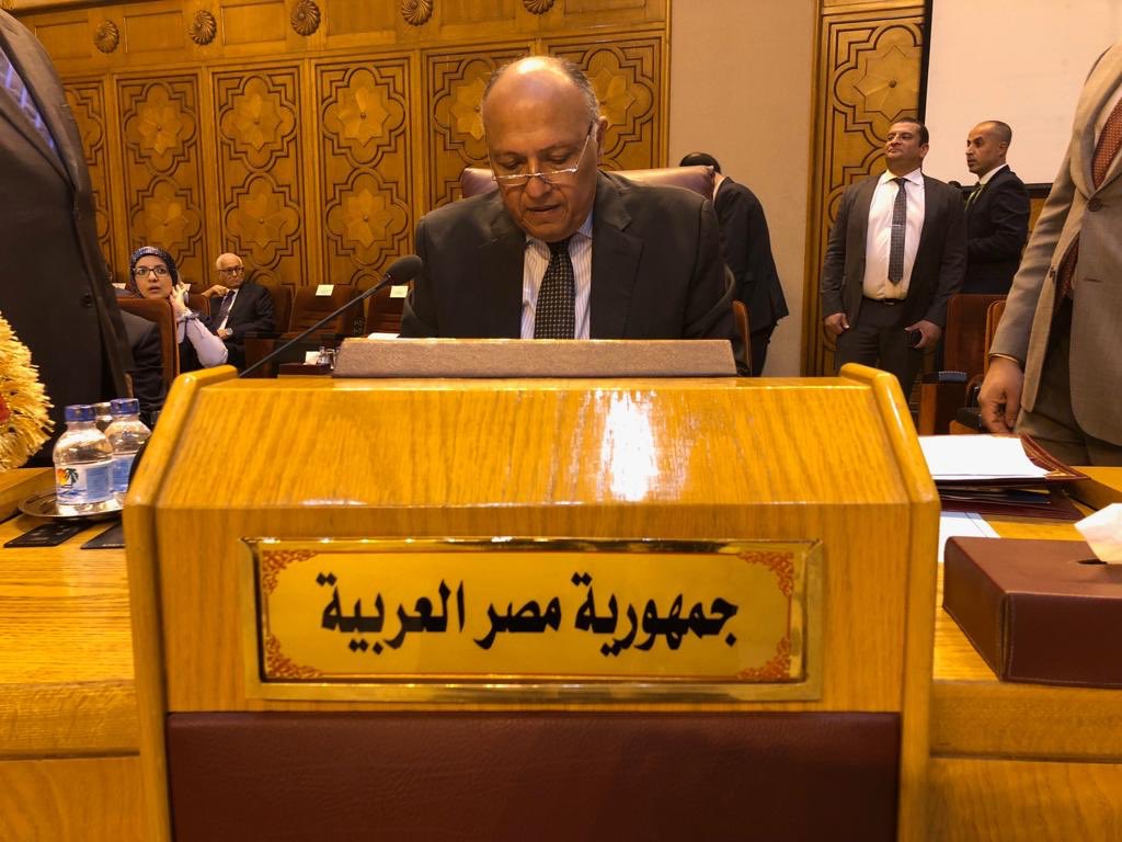 سامح شكري وزير الخارجية