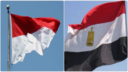 علم مصر واندونيسيا 