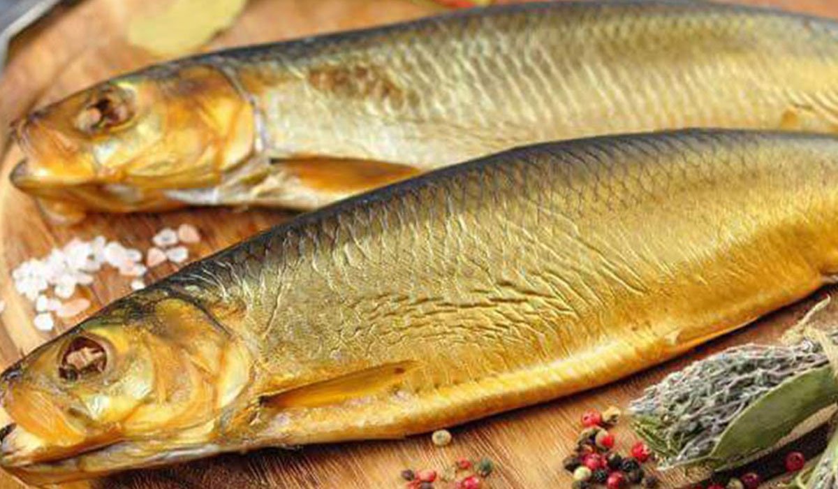 الرنجة والفسيخ 