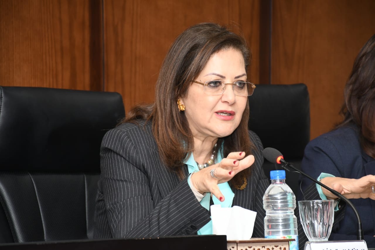 وزيرة التخطيط