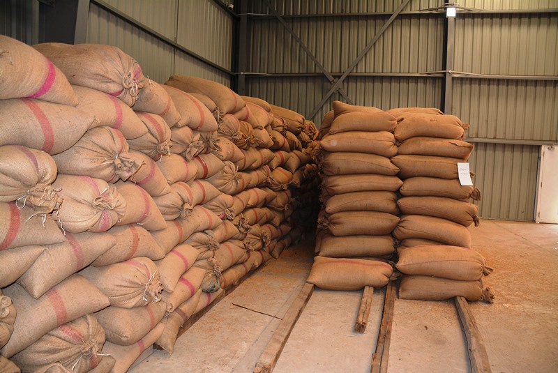 محافظ سوهاج: توريد 1352 طن و918 كيلو أقماح