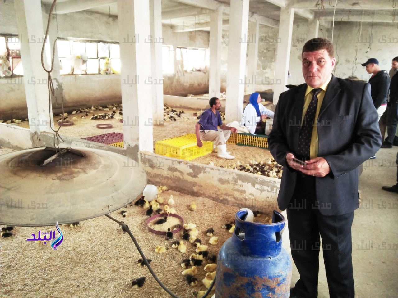 وكيل زراعة البحيرة يتفقد عمليات فرز بط المشروعات الصغيرة 