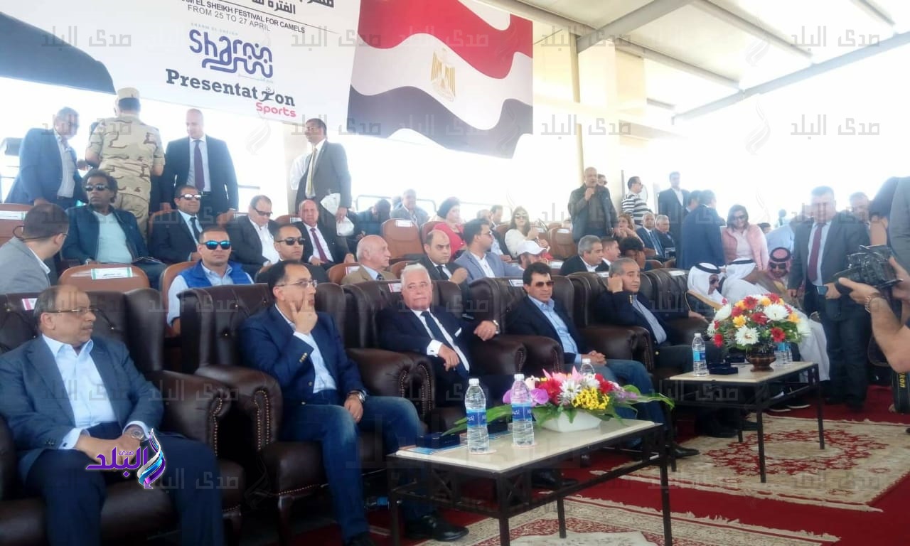 رئيس الوزراء يفتتح مهرجان الهجن الأول بشرم الشيخ