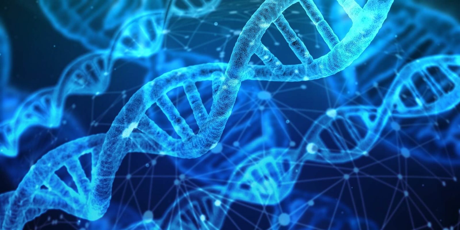 6 معلومات مذهلة قد لا تعرفها عن الحمض النووى DNA