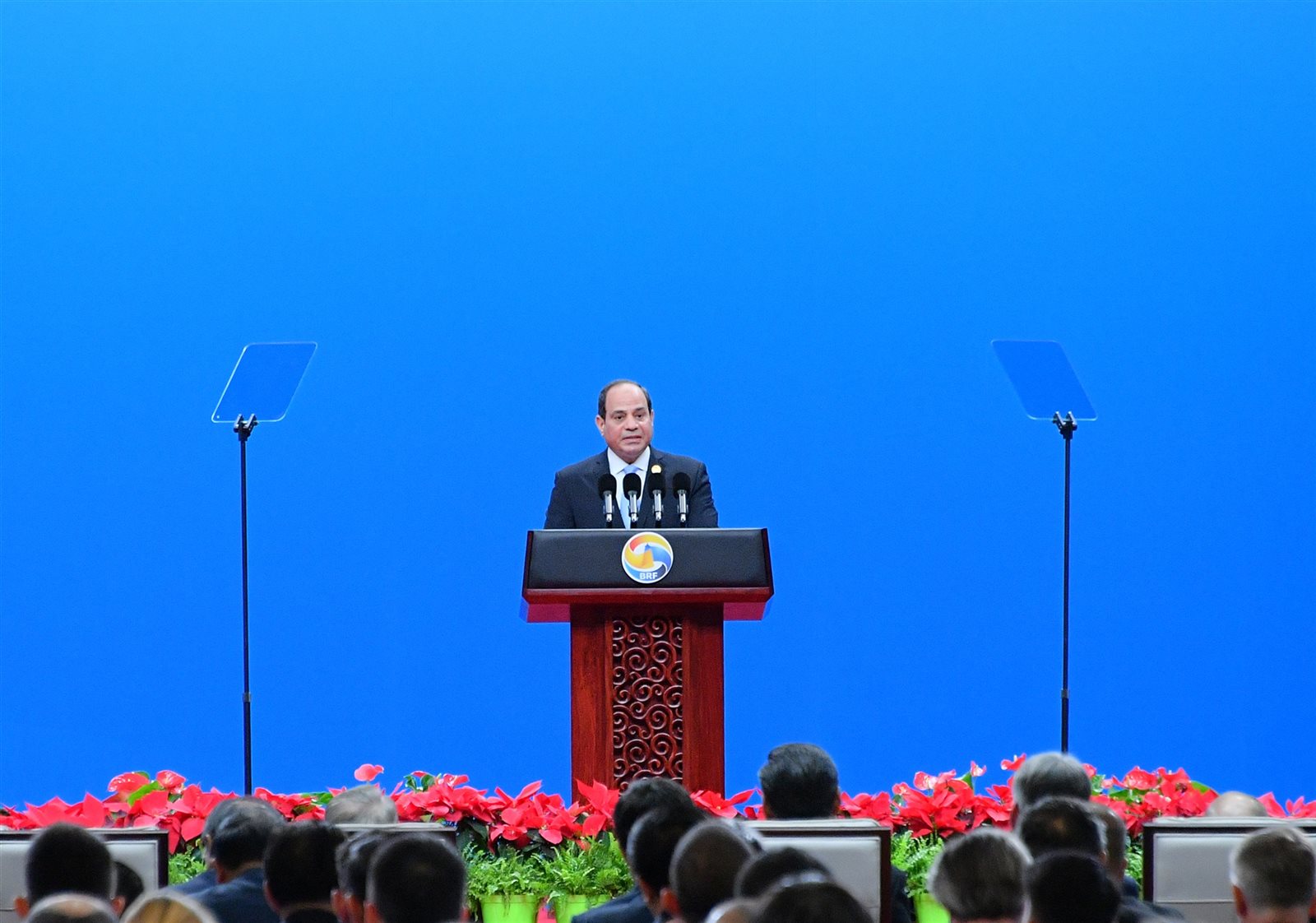 الرئيس عبدالفتاح السيسي 