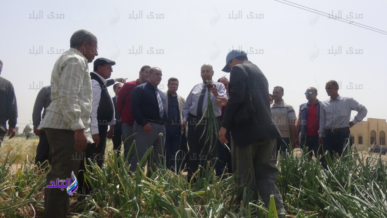 مجلس جامعة المنيا بمركز البحوث الزراعية بشوشة مجلس جامعة المنيا بمركز البحوث الزراعية بشوشة