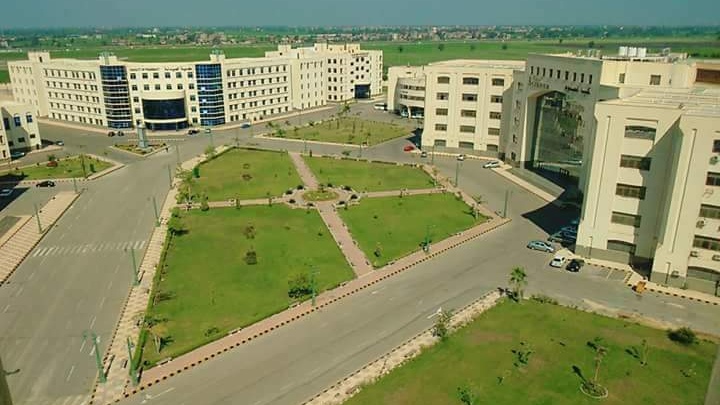 جامعة كفرالشيخ جامعة كفرالشيخ
