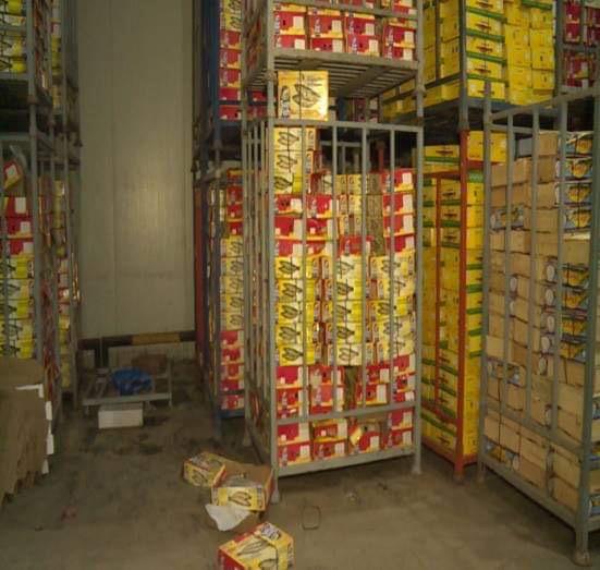 اسماك مملحة فاسدة