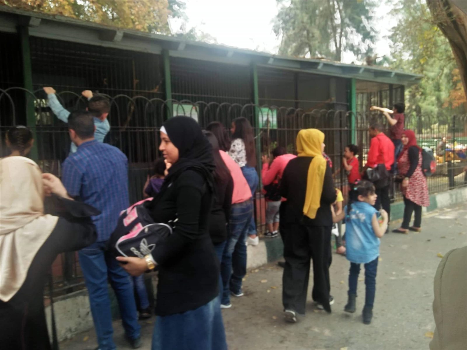 حدبقة الحيوان بالجيزة