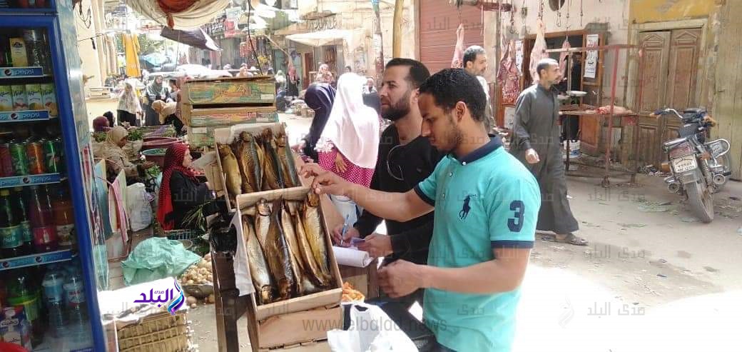 فسيخ ورنجة فسيخ ورنجة