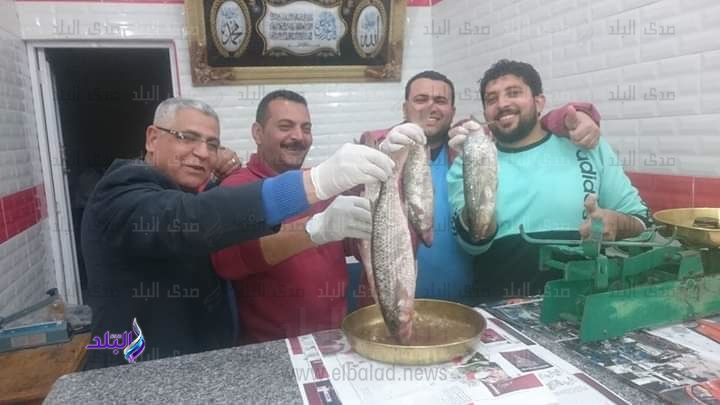 الفسيخ الفسيخ