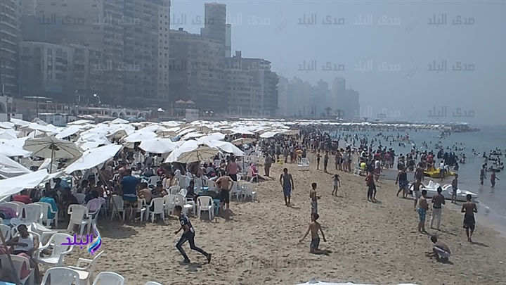 أهالي الإسكندرية يحتفلون بشم النسيم في الحدائق والمتنزهات  أهالي الإسكندرية يحتفلون بشم النسيم في الحدائق والمتنزهات