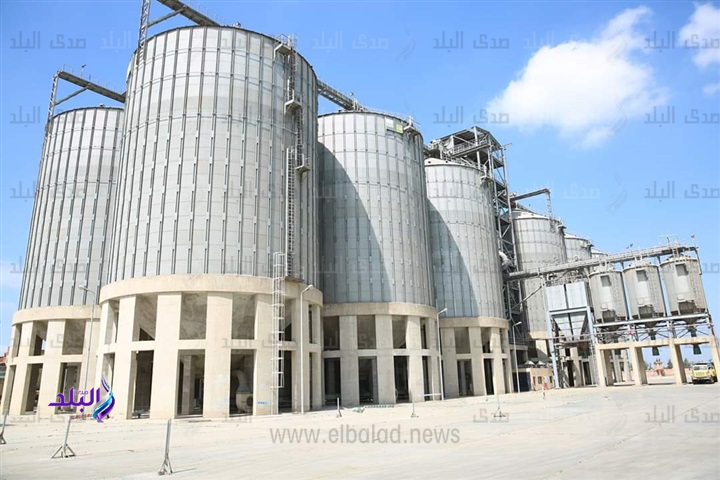 توريد 1734 طن قمح لشون وصوامع كفر الشيخ