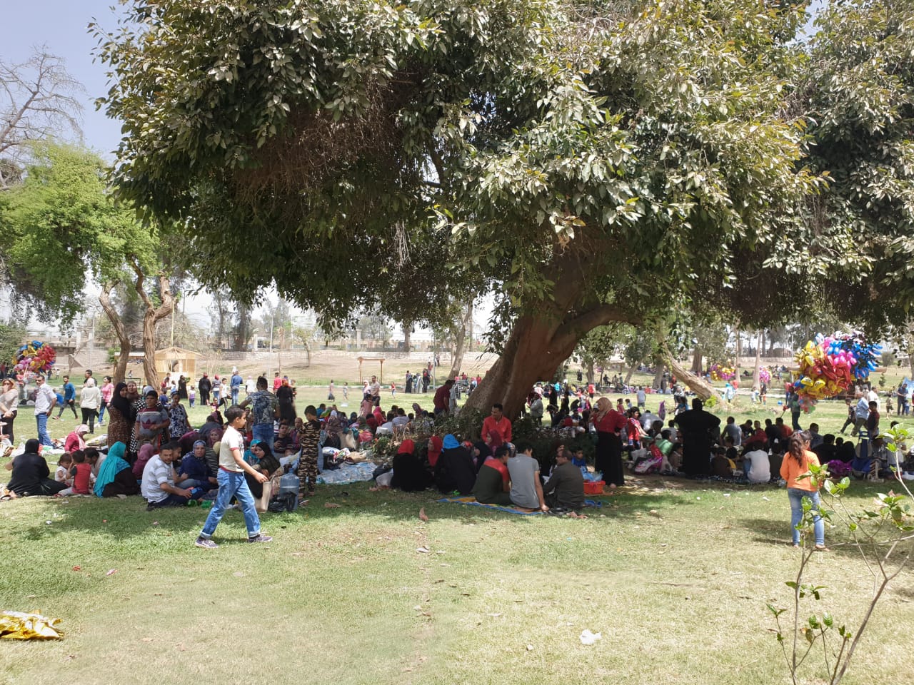 رئيس مصلحة الري : تطوير حدائق القناطر بفكر استثماري 