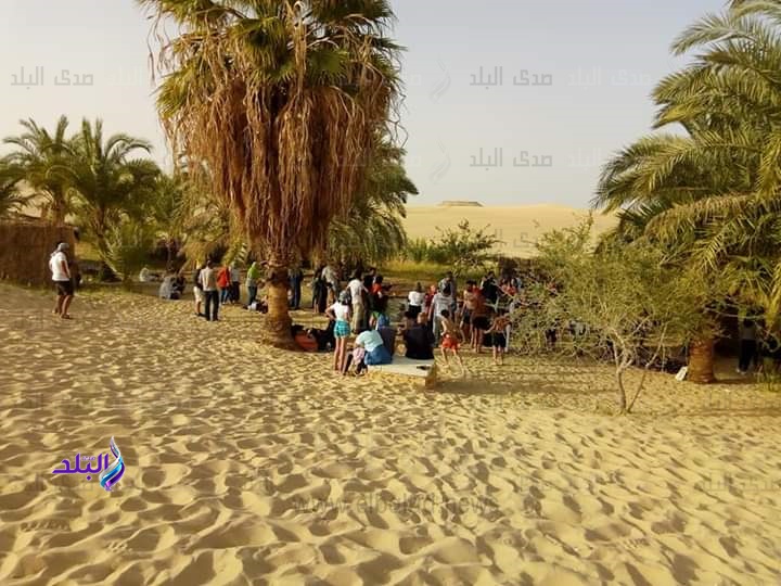 اقبال سياحي ورواج في اسواق بسيوة خلال احتفالات الربيع اقبال سياحي ورواج في اسواق بسيوة خلال احتفالات الربيع
